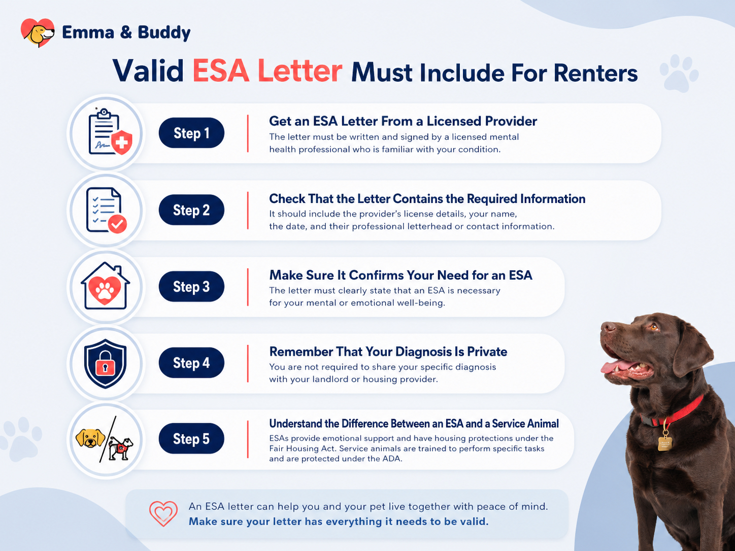 Valid ESA Letter Must Include For Renters